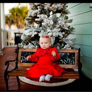 Beautiful 12-18 month designer dress  worn 2 times